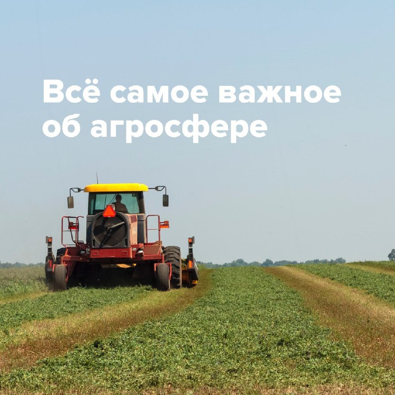 Этот канал — источник ценной информации для специалистов агропромышленности. В нём освещаются все последние новости, события и инновации в мире агросферы.