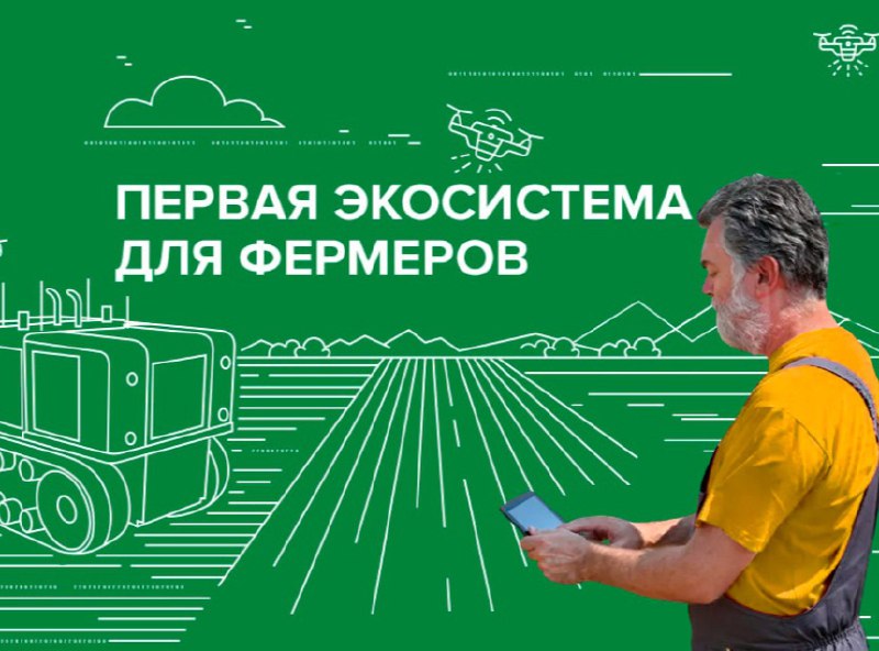 Продавцов сельскохозяйственных животных на платформе «Своё фермерство» стало в 10 раз больше за 2022 год