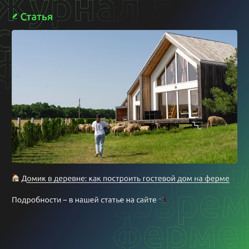 Домик в деревне: как построить гостевой дом на ферме