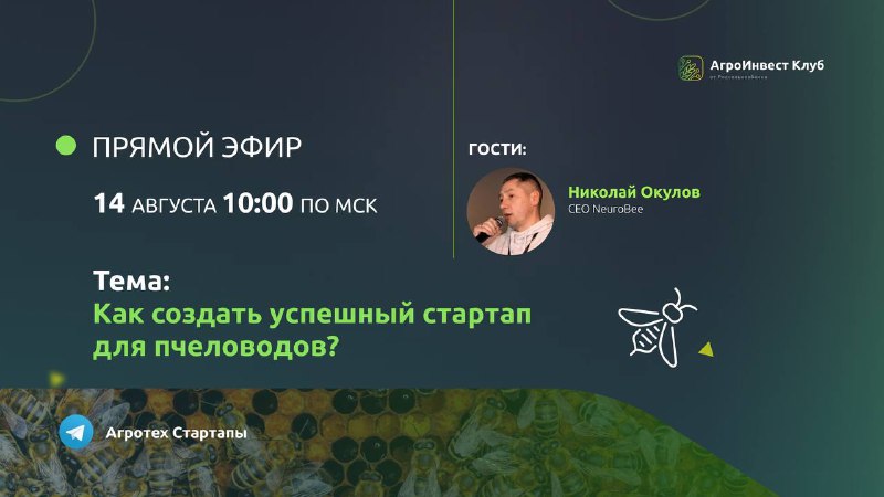 Прямой эфир с CEO стартапа NeuroBee Николаем Окуловым