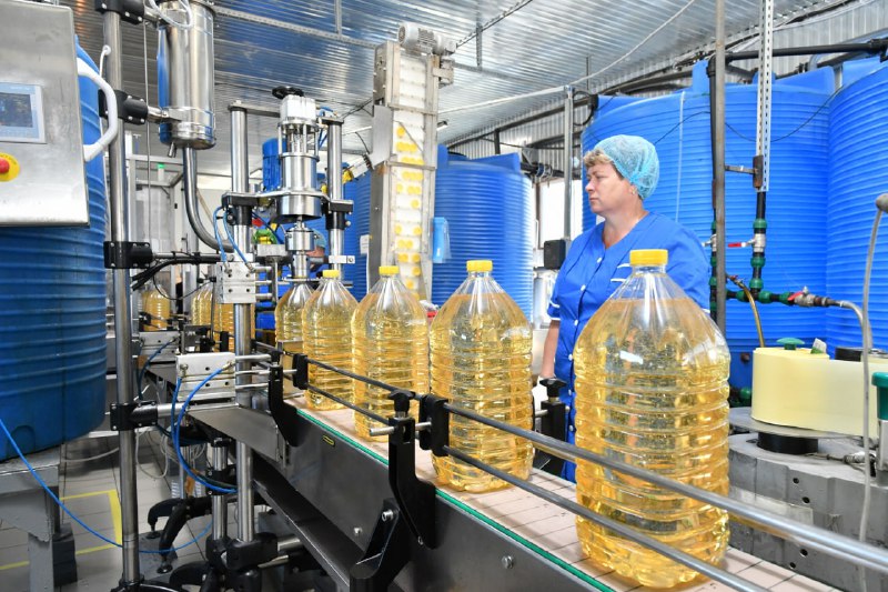 В Воронежской области построят маслоэкстракционный завод за 1,8 млрд рублей