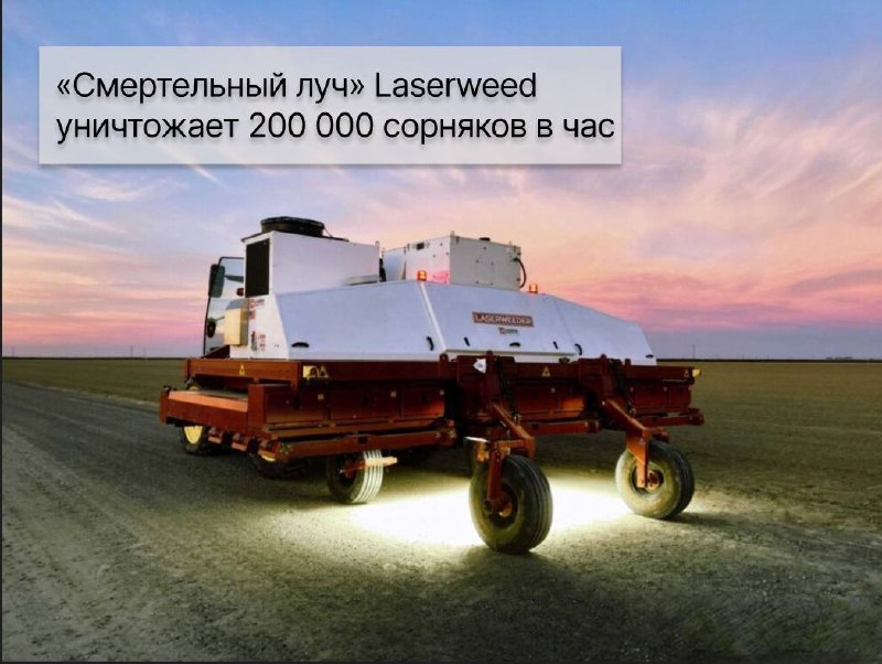 Кибердеревня на самом деле куда ближе, чем кажется. Мы сейчас не про сериал от «Кинопоиска», а про настоящих роботов, которых придумали ученые для сельского хозяйства. Сейчас уже никого не удивить роботами для прополки, а беспилотники вовсю сканируют и обрабатывают поля. Но встречаются и удивительные разработки. О необычных и даже странных роботах рассказываем в подборке Shopper’s.