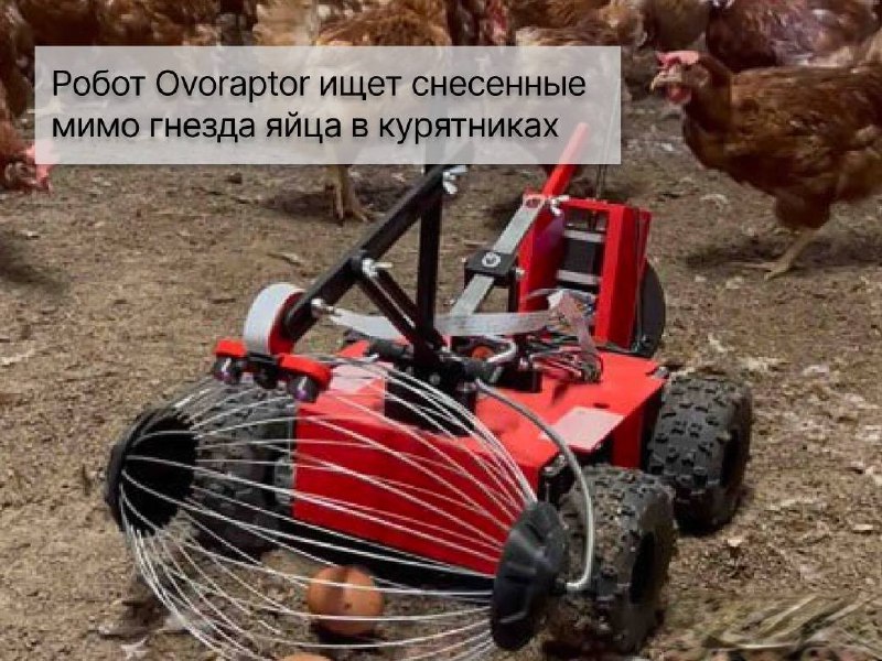 Кибердеревня на самом деле куда ближе, чем кажется. Мы сейчас не про сериал от «Кинопоиска», а про настоящих роботов, которых придумали ученые для сельского хозяйства. Сейчас уже никого не удивить роботами для прополки, а беспилотники вовсю сканируют и обрабатывают поля. Но встречаются и удивительные разработки. О необычных и даже странных роботах рассказываем в подборке Shopper’s.