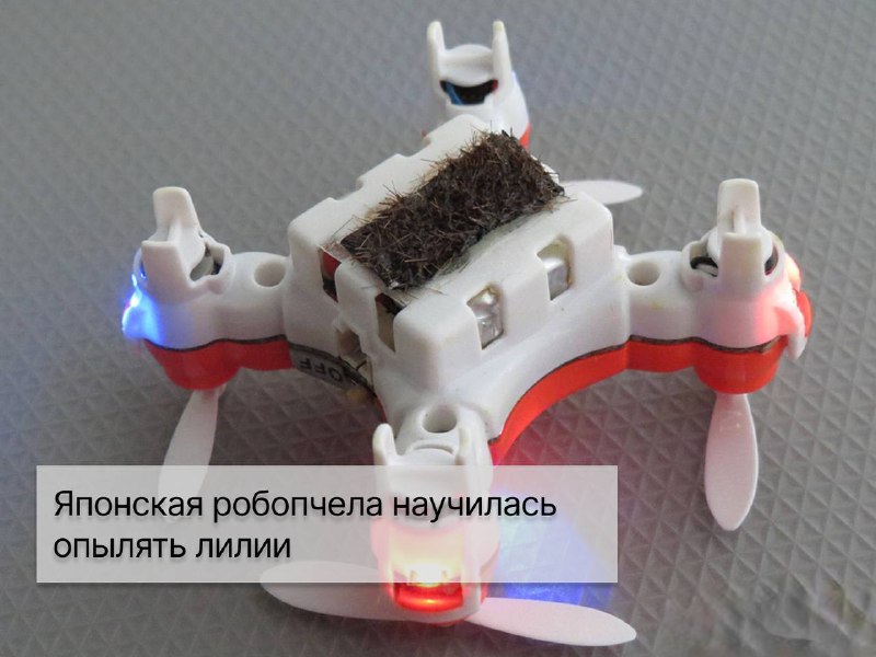Кибердеревня на самом деле куда ближе, чем кажется. Мы сейчас не про сериал от «Кинопоиска», а про настоящих роботов, которых придумали ученые для сельского хозяйства. Сейчас уже никого не удивить роботами для прополки, а беспилотники вовсю сканируют и обрабатывают поля. Но встречаются и удивительные разработки. О необычных и даже странных роботах рассказываем в подборке Shopper’s.