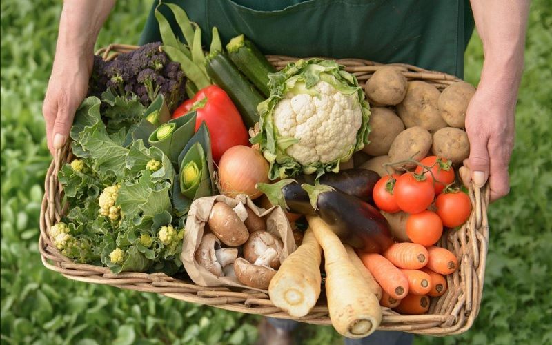 В России появятся агрегаторы фермерской продукции