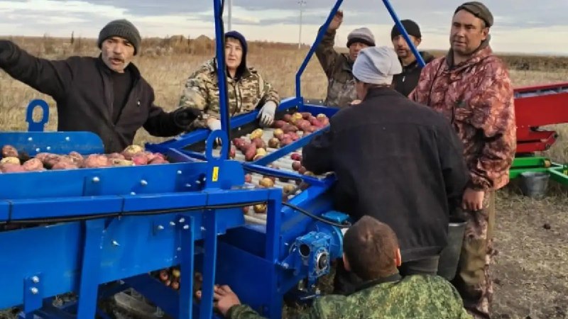 На что тратят государственные гранты картофелеводы Забайкалья?