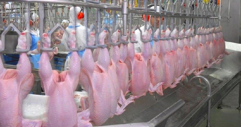 «Саратов-Птица» планирует оборудовать цех полного цикла мясопереработки