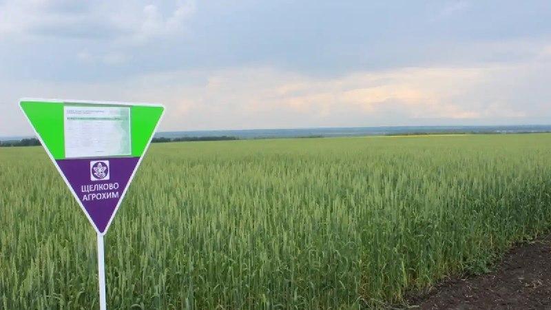 Новое NPK- удобрение на микробиологической основе зарегистрировано в России