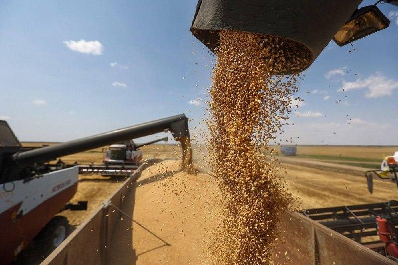 Разрешение на экспорт зерновых в Китай получат все регионы России