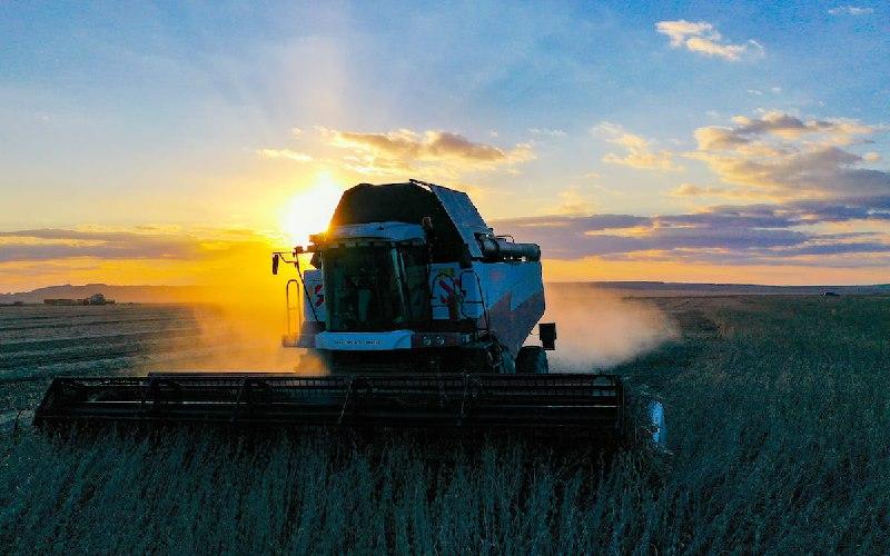 На Дальнем Востоке создадут программу развития АПК