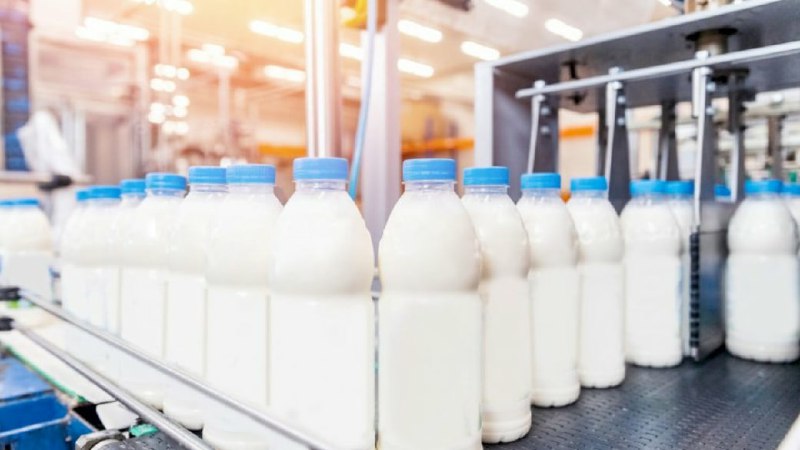«СОЮЗСНАБ» увеличил производство заквасочных культур