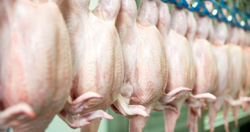 Минсельхоз России предлагает классифицировать продукцию из мяса птицы