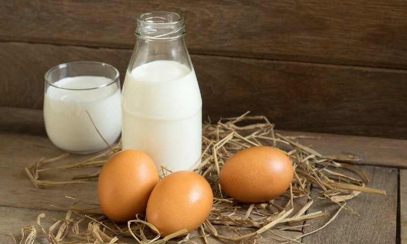 Аналитики прогнозируют рост мирового потребления молочной продукции и яиц
