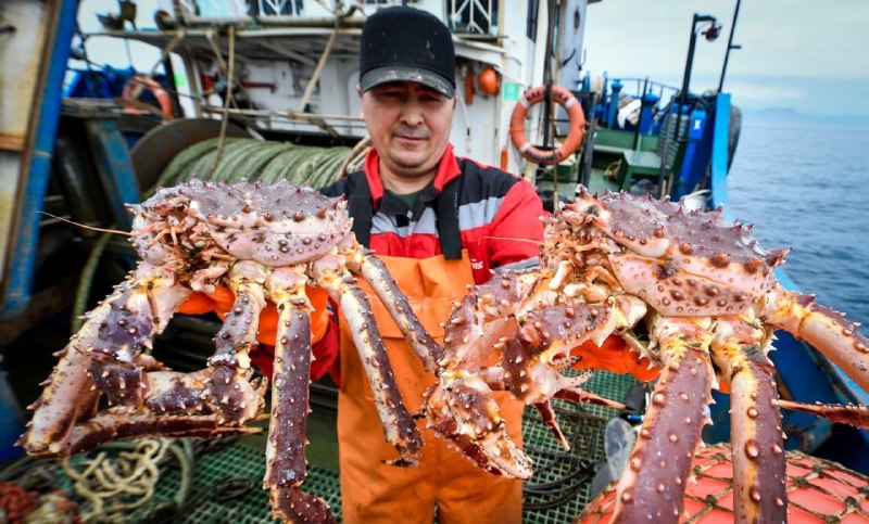 Финансирование социальных проектов за счет продажи квот на морепродукты
