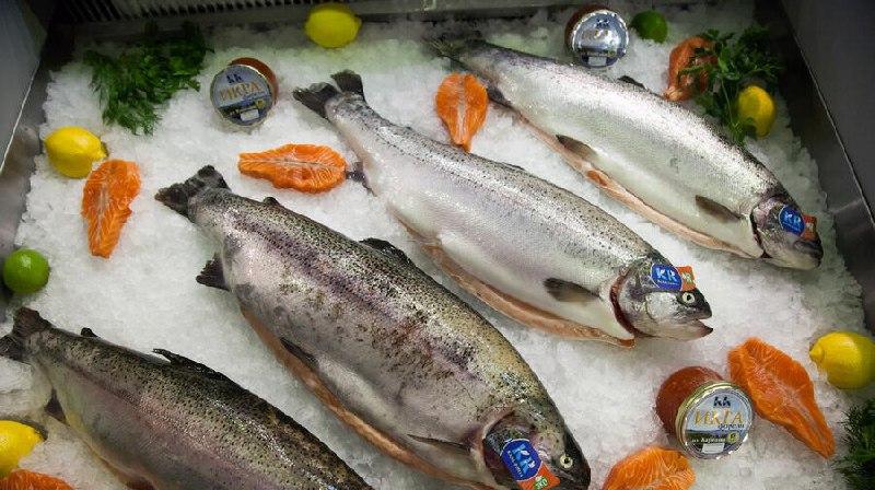 Новая госпрограмма Карелии по развитию рыболовства и аквакультуры