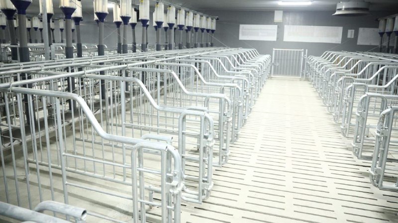 В Курганской области строят свинокомплекс