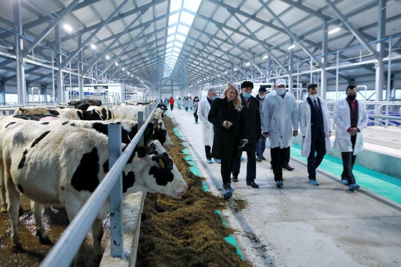 В Вологодской области построили молочную ферму