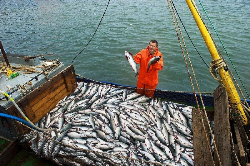 Рыбаки Приморского края за 9 месяцев увеличили пресноводный вылов на 78%