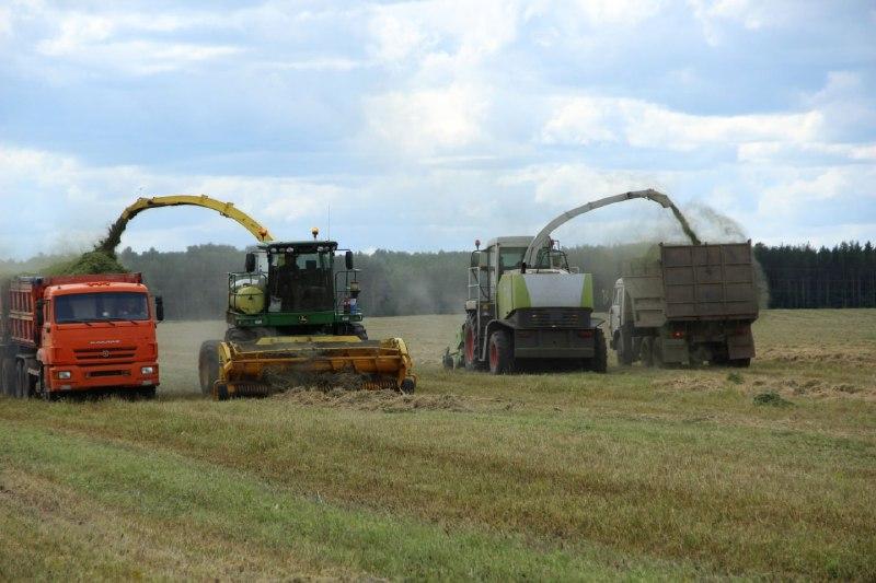 В Башкортостане выполнили план по заготовке кормов для зимовки скота