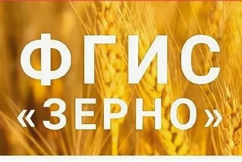 Минсельхоз откроет аграриям доступ к данным ФГИС «Зерно»