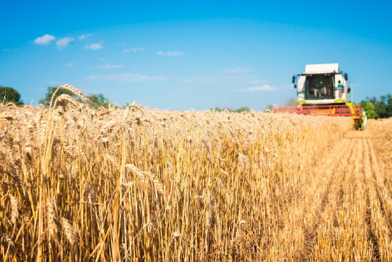 В Курганской области производство продукции АПК за шесть лет выросло на 15%