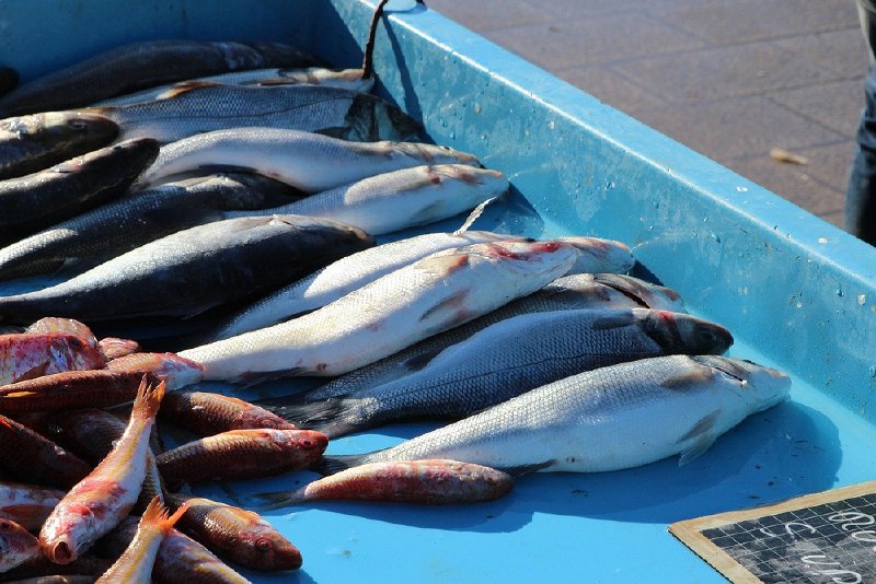 Китай разрешил экспорт рыбной продукции 13 компаниям из России