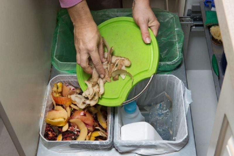 Минсельхоз продлит механизм переработки некачественных продуктов в корма