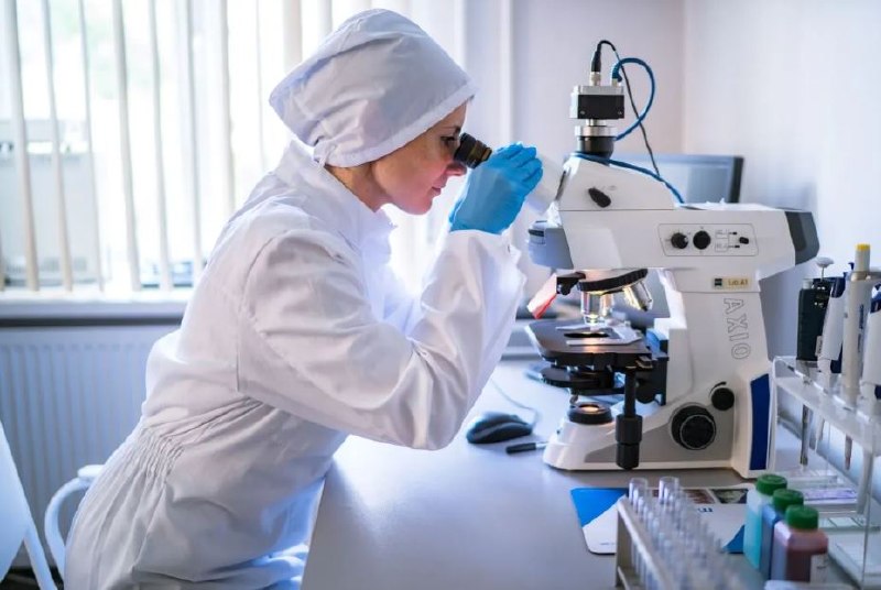 В России разработали желирующую систему для функционального питания