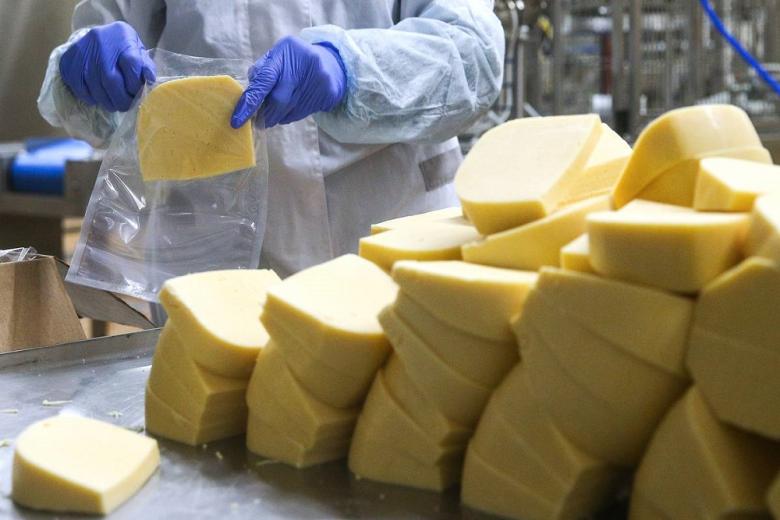 Грузия увеличила импорт российских сыров до рекорда
