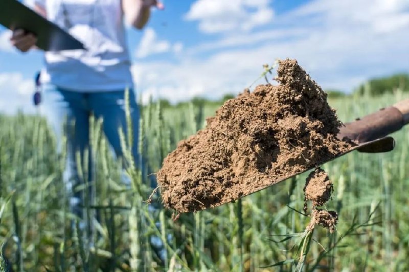 Нарушения на сельхозземлях обнаружат по снимкам из космоса и падению урожайности