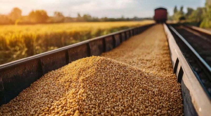 На льготную перевозку агропродукции направят более 9,7 млрд рублей