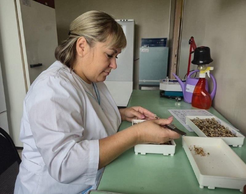 В Новгородской области лаборатория Россельхозцентра подтвердила компетентность