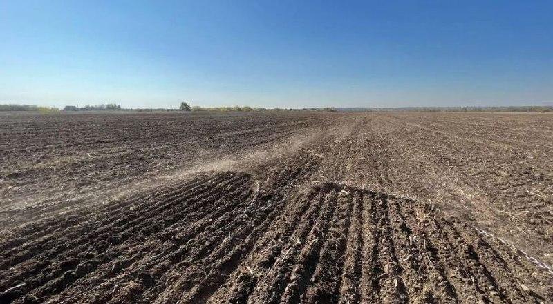 В Крыму сдвинули сроки начала посевной кампании